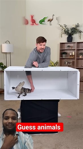 Guess the animals #challenge #animals #usa #mrbeast