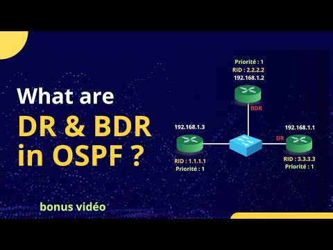 Comment s’effectue l’élection du DR et du BDR en OSPF | Bonus vidéo