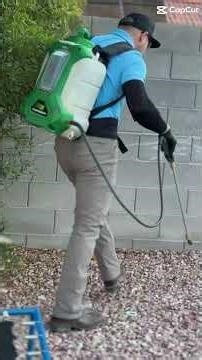 Watch a Pro Exterminate Pests in Action 🐜🕷️