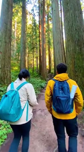 Offbeat Japan 🇯🇵 | Secret Onsens, Forgotten Shrines & Forest Trails