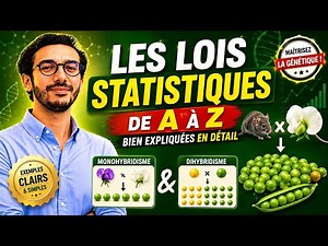 Les Lois Statistiques de A à Z : Monohybridisme & Dihybridisme 🧡