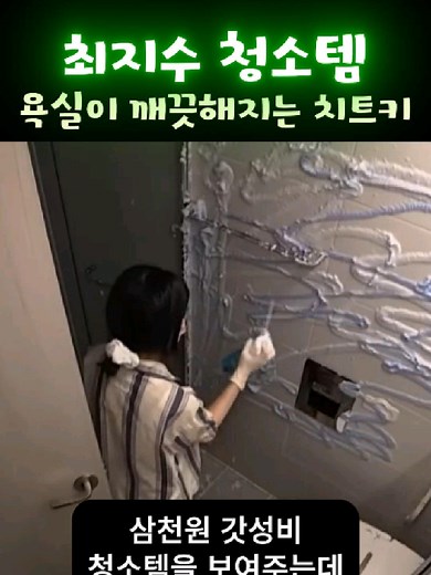 최지수 세제 | 나혼산 화장실 청소용품 구매 및 사용법