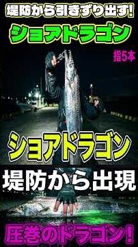 【太刀魚】堤防から出現!ショアドラゴンを堤防から引きずり出す!#太刀魚釣り#ショアドラゴン#サブマリン釣法#スパークテンヤ