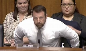 A Fight Almost Broke Out During a Senate Committee Hearing