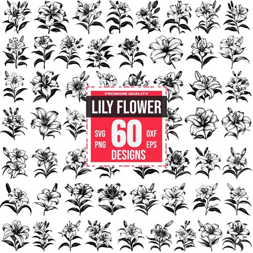 Lily Flower SVG Bundle, 60 Floral Silhouette Designs, Wedding Clipart for Cricut, Botanical PNG, Lily Flower Vector, Detailed Bloom SVG - Etsy