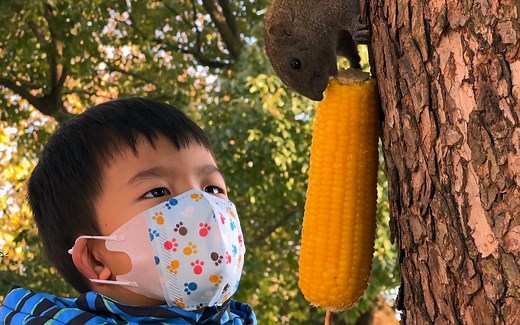 iPhone13Pro系列影像能力初体验 Filmic pro体验