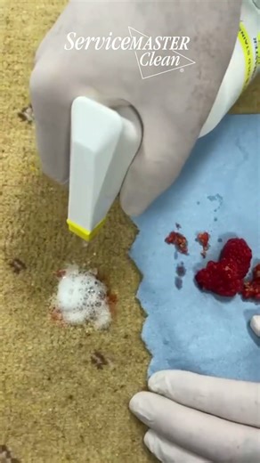 Raspberries Stain Removal