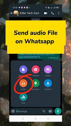 how to share audio file on whatsapp|audio massage on WhatsApp|share audio file on whatsapp