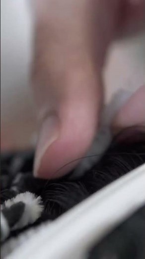 Extreme Long Hair Transform with Afro Perm