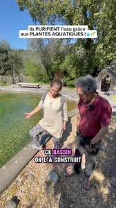 1M views · 18K reactions | Il PURIFIENT l'eau grâce aux PLANTES AQUATIQUES !  Philippe et Marie sont installés depuis 25 ans dans ce petit paradis qu’ils bâtissent jour après jour. Ils développent leur autonomie en plein coeur de la nature  Abonne-toi pour embarquer dans l’aventure ! - - #reel #eau #Autonomie #avenir #inspirant | Michaelzoicas | Facebook