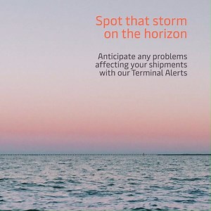 As cargo flows accelerate and interdependencies increase, our customers need operational updates about changes that may affect their shipments faster and more real-time than ever. So we made it happen. Available at 37 of our facilities, our Terminal Alerts system provides email or SMS notifications about any changes that might impact our customers' cargo. Find out more: https://bddy.me/2XkKt54 | APM Terminals