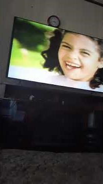 Opening To Elmo's World: Pets! 2008 DVD