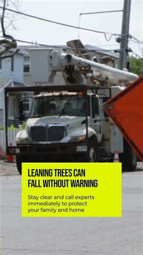 Top Safety Tips For Storm-Damaged Trees