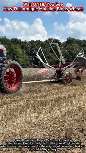 Wait UNTIL You See How This Antique Machine Binds Wheat!