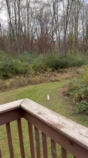 Dora Halsted on Reels