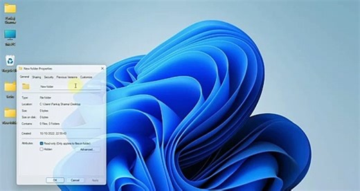 Windows 11 Show hidden files in File Explorer