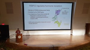 See how 2024 #USFHealth Research Day brought together students, faculty, and researchers from across campus in a dynamic showcase of high-impact scholarly work. Watch our recap video to learn more about what makes this event #USF's premier research celebration! ⬇️🔬 | USF Health-University of South Florida