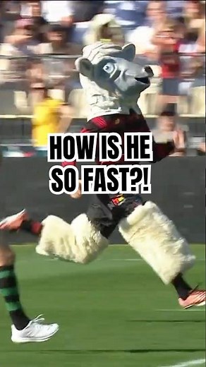Meet the world's FASTEST mascot 💨🤯