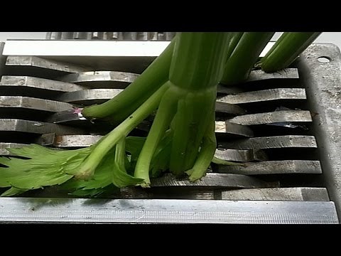 SHREDDING STUFF: CELERY | Oddly Satisfying Food Video | Shredding Stuff In Slow Motion