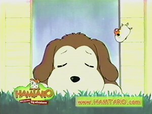 Hamtaro: Ham Hams Head Seaward