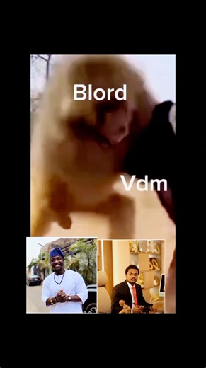 Two wise man one is positive ground one is negative ground. If he continues some many way refuse to learn we learn in add ways. #nigeria #reelschallenge | Olaore Peter Yinka