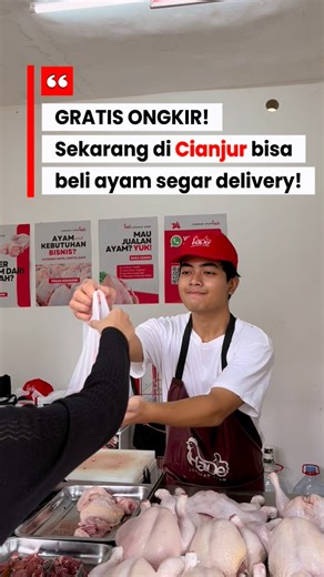 Ayam Potong dan Telur Cianjur on Instagram: "Wargi Cianjur! Sekarang kamu bisa beli ayam murah dan mudah! 🐔🍗 Supplier ayam bersih, segar dan halal yang pertana di Cianjur dan Cikalongkulon! 🎖️ Cukup WA, pesanan kamu langsung sampe depan rumah, dan yang paling penting ongkir Rp.0! 😱 Langsung pesan atau datang ke kios: 📍Baros Jl. Pertigaan Baros (sebrang Hemat Grosir), Sukataris, Kec. Karangtengah, Kab. Cianjur 📍Cikalong 1 Jl. Raya Cimatis, RT.08/02, Kp. Ngantai, Lembahsari, Kec. Cikalongkul