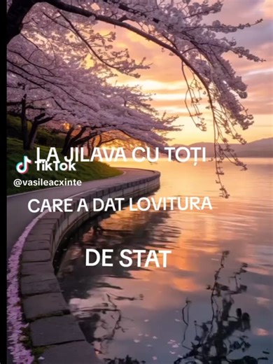 Iohanis și… ai săi 9 judecători trebuiesc arestați! Pamflet TikTok