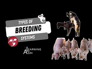 Systems of Breeding in Animal Science
