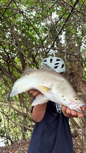 Ultimate Saltwater Fishing Tips for Barra and Jack