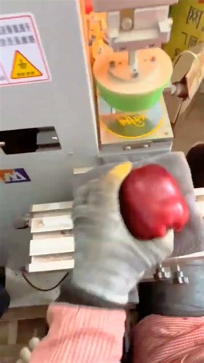 Proses pemberian label pada buah apel