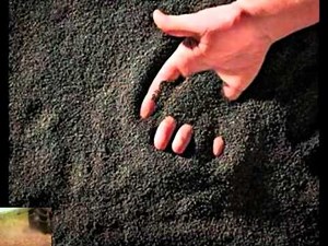 Aceite de canola Krol