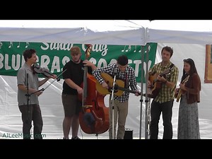 Sully Tuttle sings Bob Dylan's Buckets of Rain