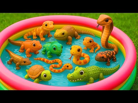 Kids Learn Reptiles with Toys & Reptile | Reptiles Names | Preschool Learning