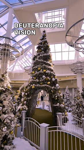 Living with #Deuteranopia. Here’s a glimpse of how I see reds and gree...