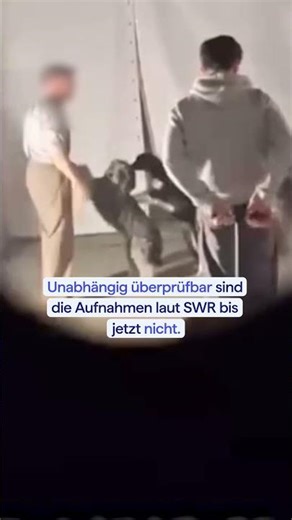 Videos released from Europa-Park Rust show a dog trainer abusing his dogs.