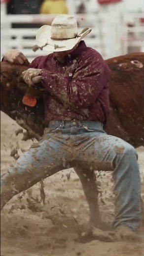 Steer Wrestling in the mud is no joke! #wrangler #cowboy #rodeo #western