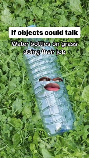 Growing up were you also told that putting transparent bottles full of water on the grass would stop dogs from pooping there? 😭😭😭😂😂😂 #ikhokw #fyp #funny #dogs #waterbottles #grass #tiktoksouthafrica