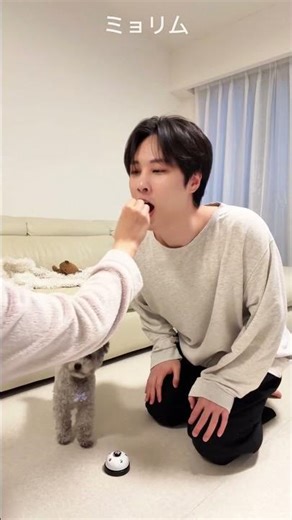 Smart Humans vs Cute Puppy 🧠🐶