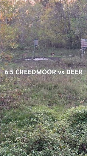 6.5 CREEDMOOR vs DEER