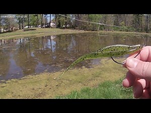 How To Rig A Zoom Fluke. Quick Tutorial On An Easy Soft Plastic Lure Presentation