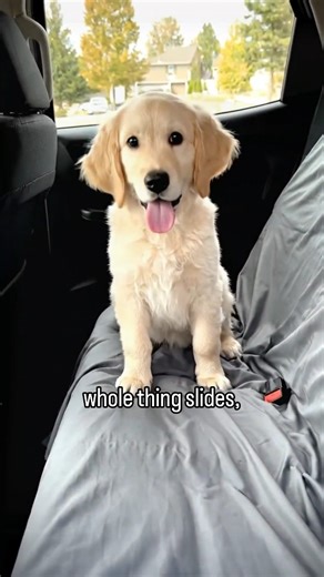 Seat Cover Review | Tried the WeatherTech SeatSaver… and it slipped the moment my pet jumped in 😅 Feels more like a blanket than actual seat protection. If you... | Instagram