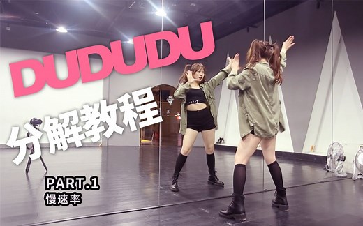【兰心】BLACKPINK DDU-DU DDU-DU镜面分解字幕版，年会必跳曲，一定要学会