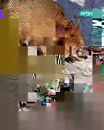 3.3M views · 91K reactions | Friendly fox is excited to see his best pals 力 | Furry Tails | Facebook