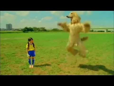 Creepy japanese calbee consome panchi dog commercials