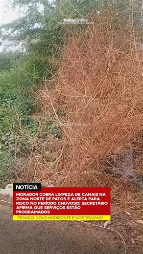 Patos Online on Instagram: "O internauta Berivan Mirando encaminhou à equipe do Patos Online relatos sobre a situação dos canais Noé Trajano, Novo Horizonte e Frango, cobrando providências urgentes por parte do poder público, sobretudo em meio ao período chuvoso. Ele registrou em vídeo o acúmulo de lixo, mato e detritos ao longo dos canais, apontando riscos de alagamentos e transtornos para as comunidades próximas. Segundo Berivan, o problema não é causado por fatores naturais, mas pela falta de
