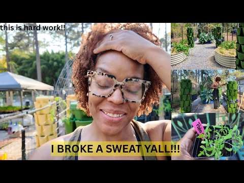 Its SO MUCH BETTER-I reset my vertical garden!