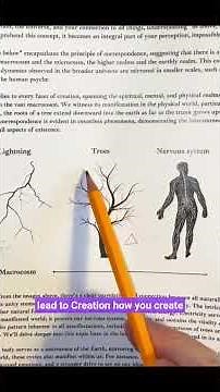 The Mental Field Explained