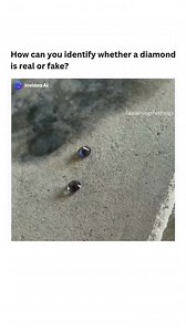 207K views · 468 reactions | How can you identify wheather a diamond is real or fake? Follow[Us] 홀홡홫홞홨 화홤홪홧 혽홤홤홠 홋홚홧홨홤홣 for more #viral #explore #viralreels #knowledge #trending #science #foryou #learn #viralpost #reels #diamond #real #fake #heat #insane #interesting #instagram | 홀홡홫홞홨 화홤홪홧 혽홤홤홠 홋홚홧홨홤홣 | Facebook