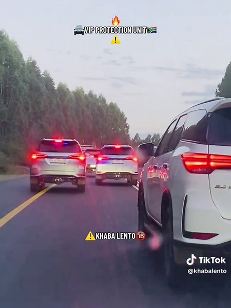 VIP Protection Unit: Security Insights from South Africa