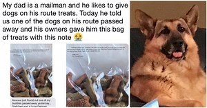 Mailman Gave Treats To Dogs On His Route, And When One Died, Owners Gave Him A “Sweet Note”